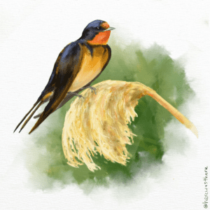 Digital Painting of a Barn Swallow